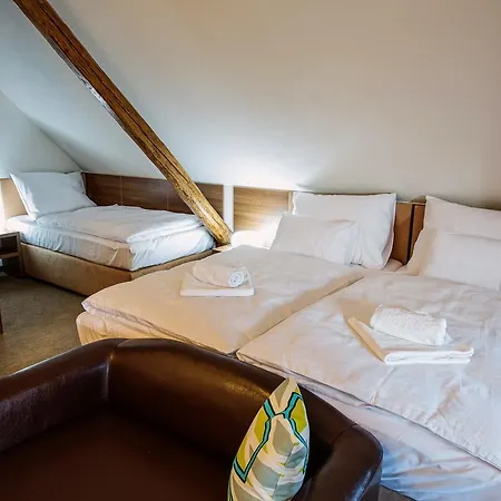 Hotel Na šustně 3*
